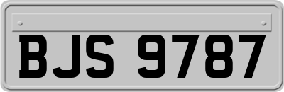 BJS9787