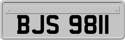 BJS9811