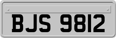 BJS9812