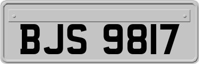 BJS9817