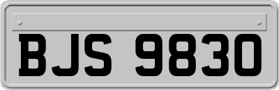 BJS9830