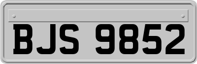 BJS9852