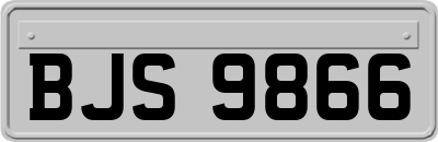 BJS9866