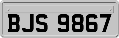 BJS9867