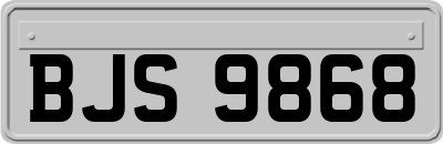 BJS9868