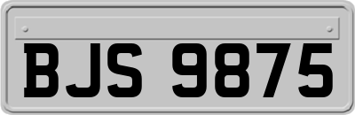 BJS9875