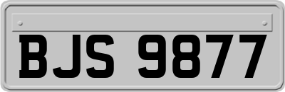 BJS9877