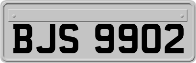 BJS9902