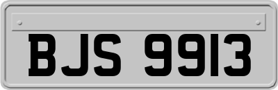 BJS9913