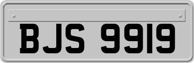 BJS9919