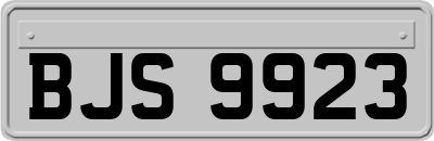 BJS9923