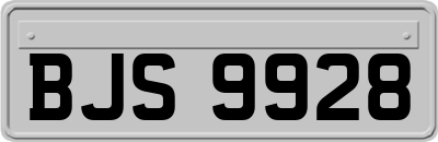 BJS9928