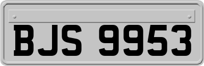 BJS9953
