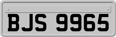 BJS9965