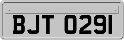 BJT0291