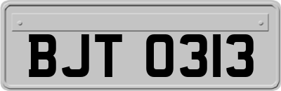 BJT0313