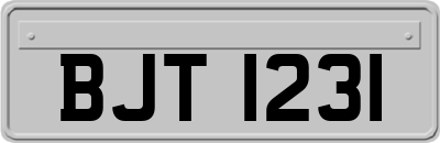 BJT1231