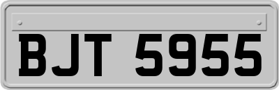 BJT5955