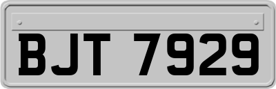 BJT7929
