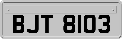 BJT8103