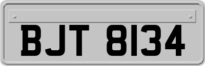 BJT8134
