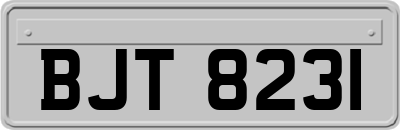 BJT8231