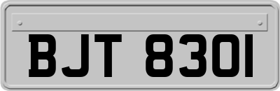 BJT8301