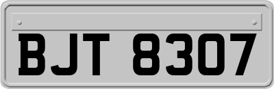 BJT8307
