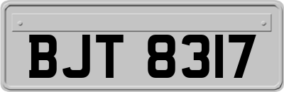 BJT8317