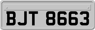 BJT8663