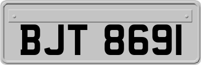 BJT8691
