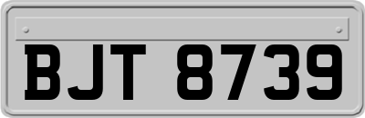BJT8739