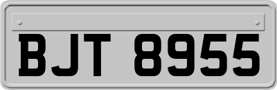 BJT8955