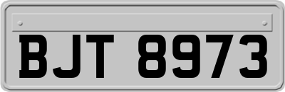 BJT8973