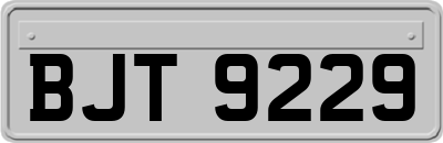 BJT9229