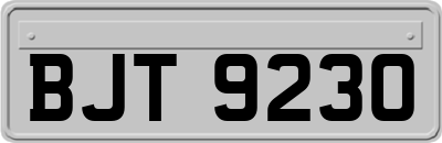 BJT9230