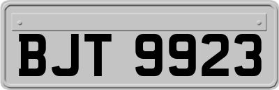 BJT9923