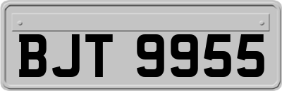 BJT9955
