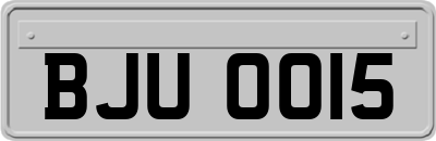 BJU0015
