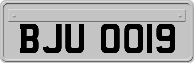 BJU0019