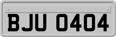 BJU0404