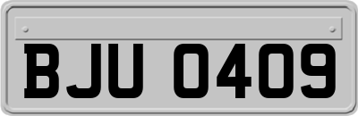BJU0409