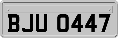 BJU0447