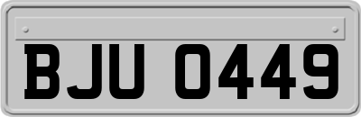 BJU0449