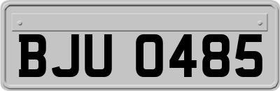 BJU0485