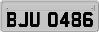 BJU0486
