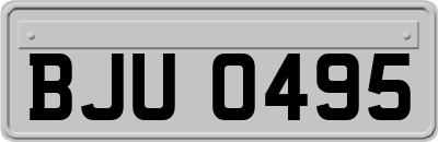 BJU0495