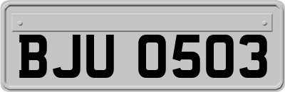 BJU0503