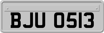 BJU0513