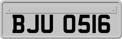 BJU0516